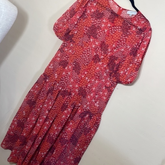 Asos Curve 14 Never Fully Dressed red floral print dress - Picture 8 of 12
